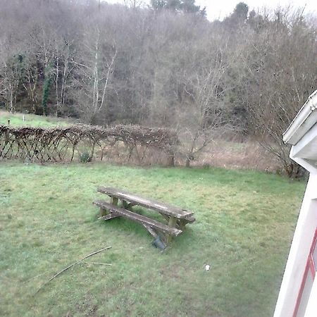 Harmony Hall Veganic Pensionat Kilkenny Exteriör bild
